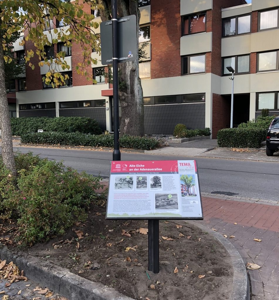 Alte Hofeiche Wulftange