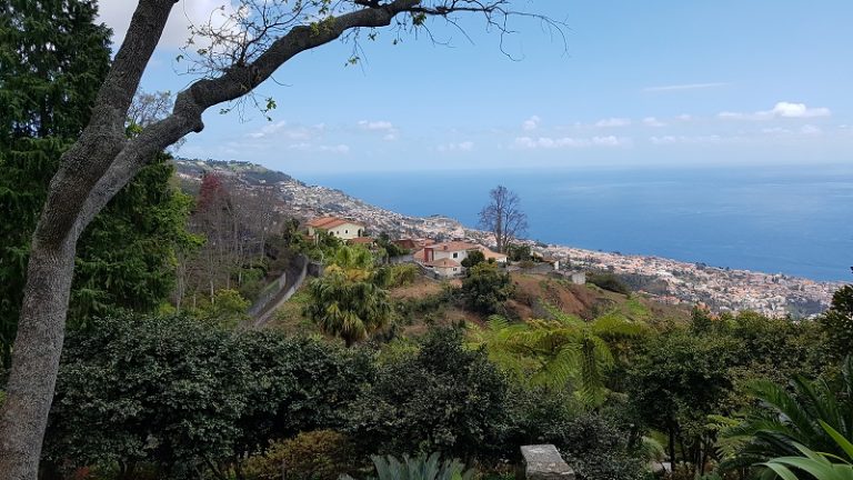 Wie wär‘s mit einem Ausflug auf die Blumeninsel Madeira?