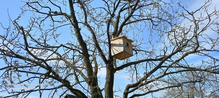 Nachtjäger erwünscht…