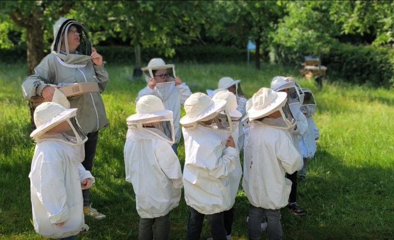 Igel und Elefanten treffen Bienen!