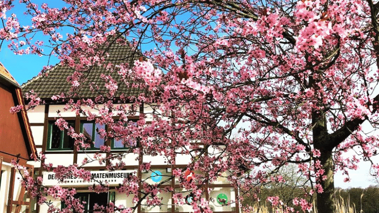 Deutsches Automatenmuseum – Sammlung Gauselmann