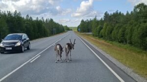 Reiseberichte